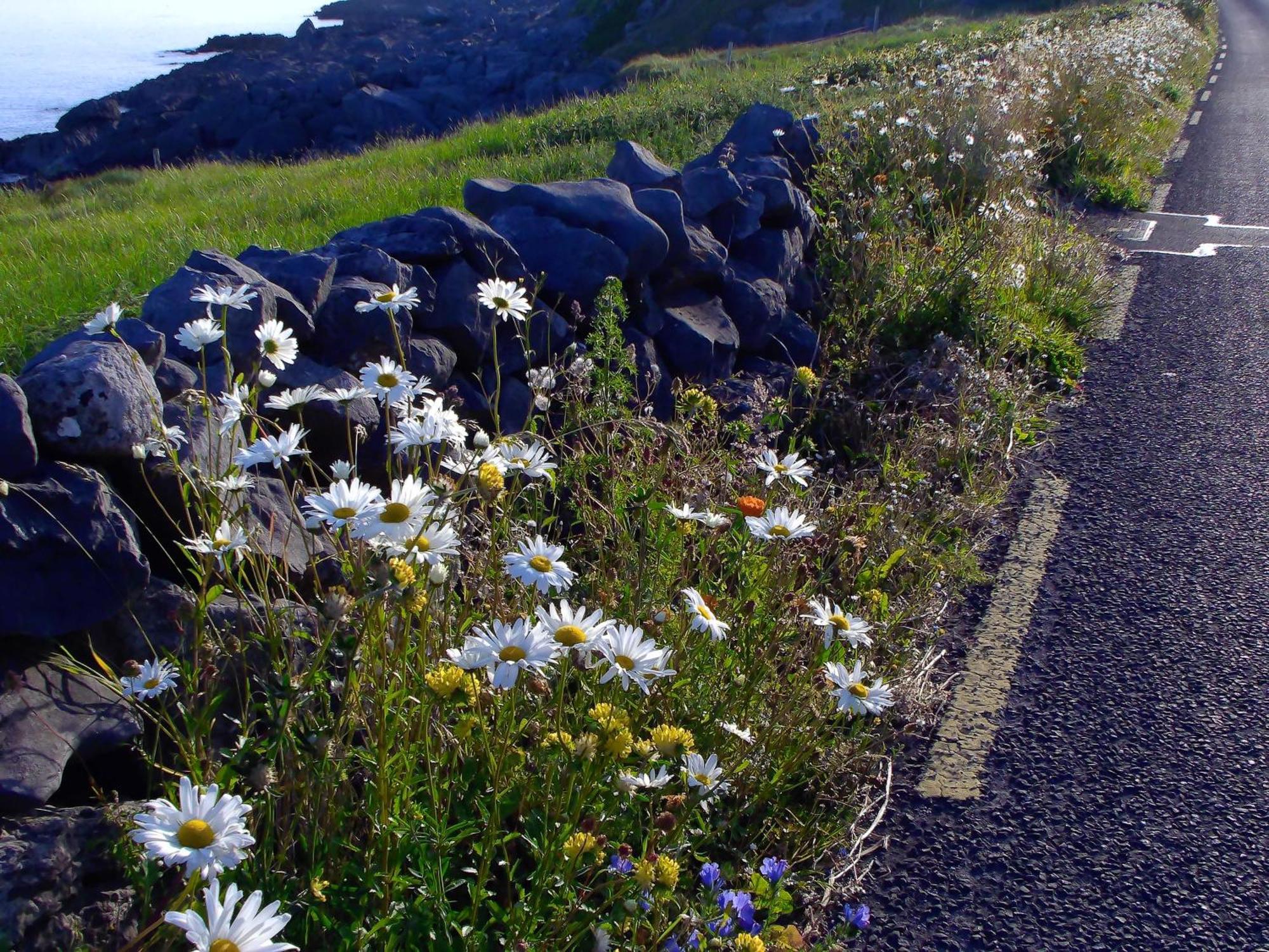 Вилла Dolphin Watch Wild Atlantic Way Fanore Экстерьер фото